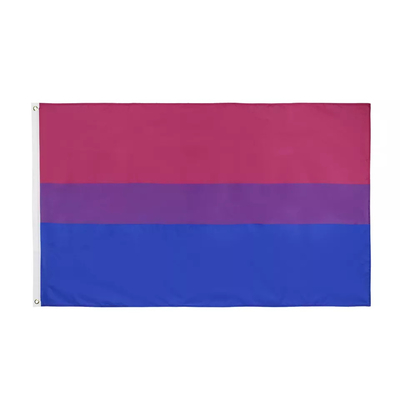 ডিজিটাল প্রিন্টিং রেইনবো LGBT পতাকা 3x5 Ft 100D পলিয়েস্টার উভকামী পতাকা